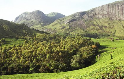 Munnar Private Day Tour